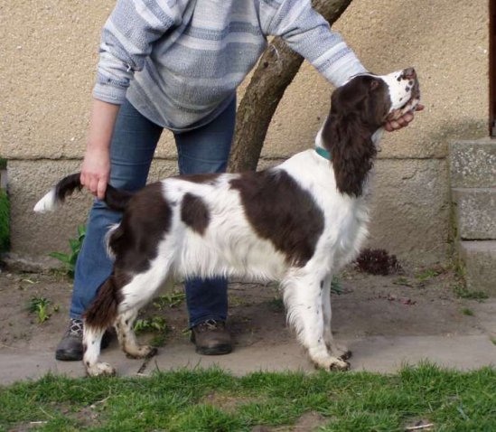 agnes_9mesicu.jpg, 63 kB