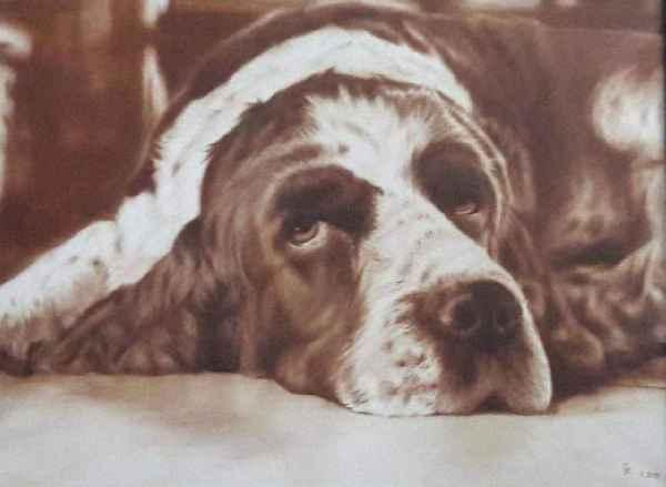 arinka_obraz.jpg, 22kB