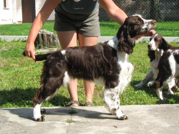 art_11mesicu_postoj art_11mesicu_postoj.jpg, 39 kB