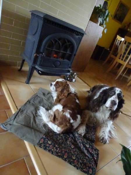 art_12_5let art_12_5let.jpg, 30kB