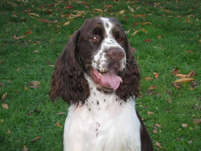 art_16mesicu_portret art_16mesicu_portret.jpg, 37 kB