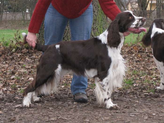 art_18mesicu_postoj art_18mesicu_postoj.jpg, 53 kB