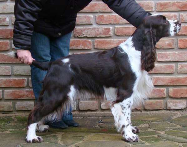 art_2,5roku art_2,5roku.jpg, 32 kB