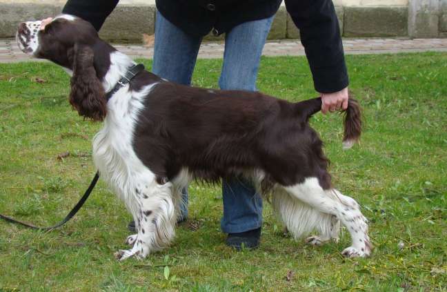 art_22mesicu art_22mesicu.jpg, 39 kB