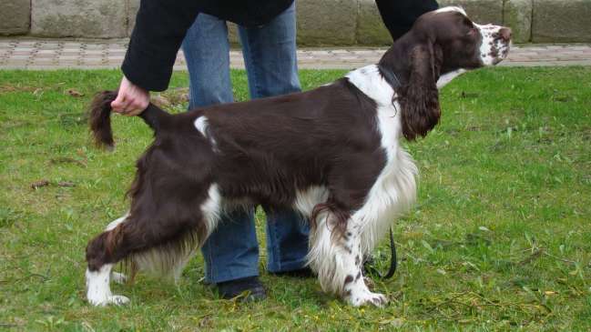 art_22mesicu_1 art_22mesicu_1.jpg, 34 kB