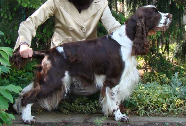 art_23mesicu.jpg, 37 kB