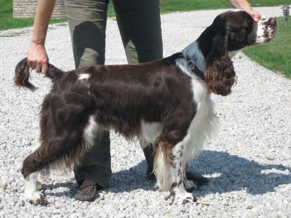 art_25mesicu1 art_25mesicu1.jpg, 39 kB