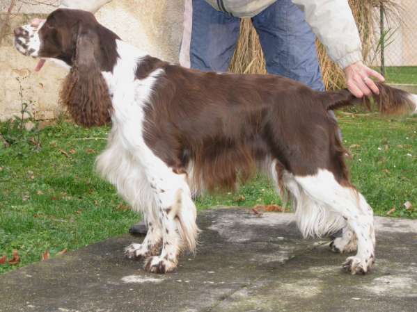 art_3,5roku2 art_3,5roku2.jpg, 36 kB