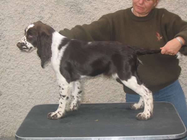 art_4mesice art_4mesice.jpg, 26 kB