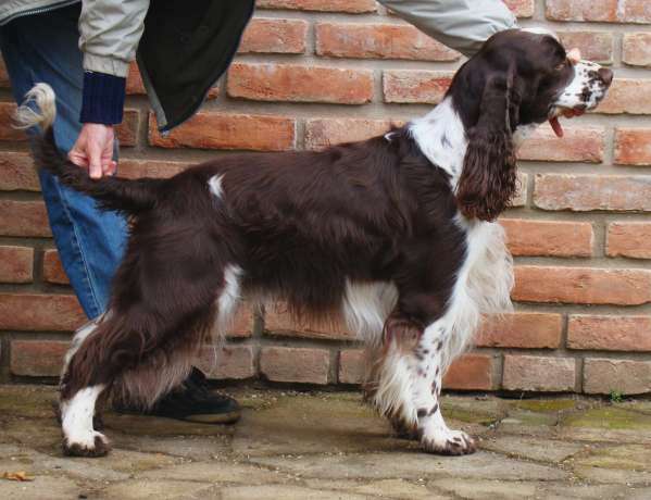 art_4roky art_4roky.jpg, 35 kB