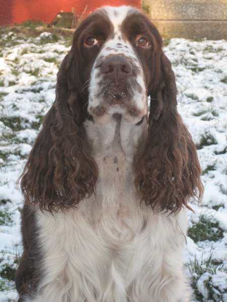 art_leden2014 art_leden2014.jpg, 31kB