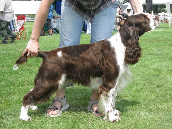 art_mb2011 art_mb2011.jpg, 42kB