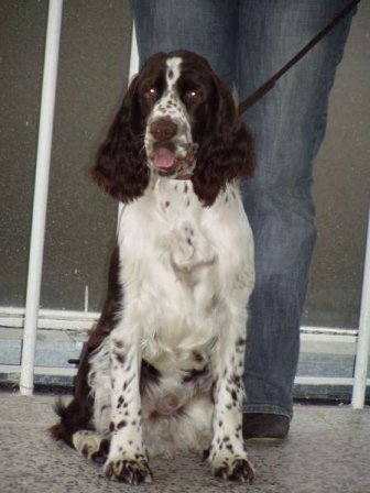 art_olomouc2008_portret.jpg, 29 kB