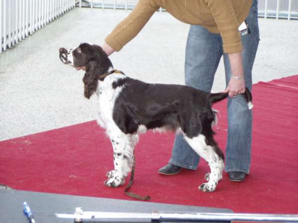 art_olomouc2008_postoj.jpg, 25 kB