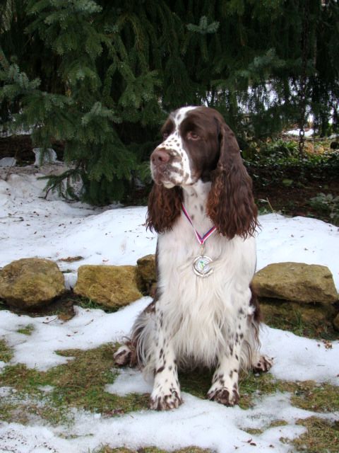 art_olomouc2010_1.jpg, 77 kB