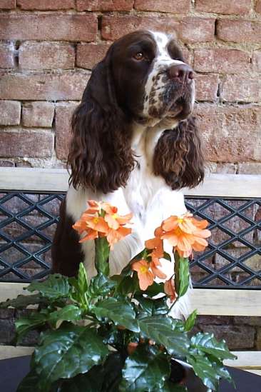 art_portret_25mesicu art_portret_25mesicu.jpg, 36 kB