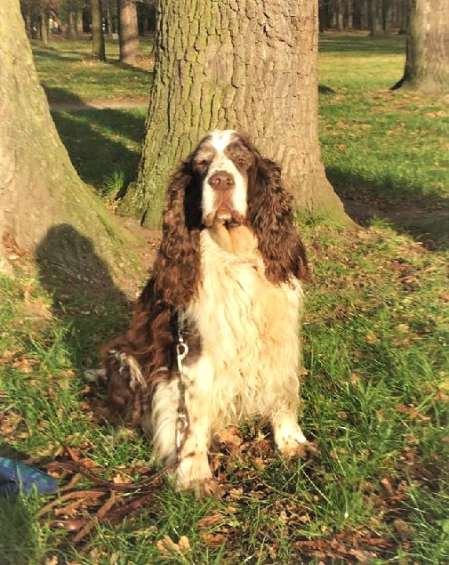 art_prosinec2020 art_prosinec2020.jpg, 47kB