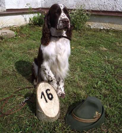 art_pz4 art_pz4.jpg, 39 kB