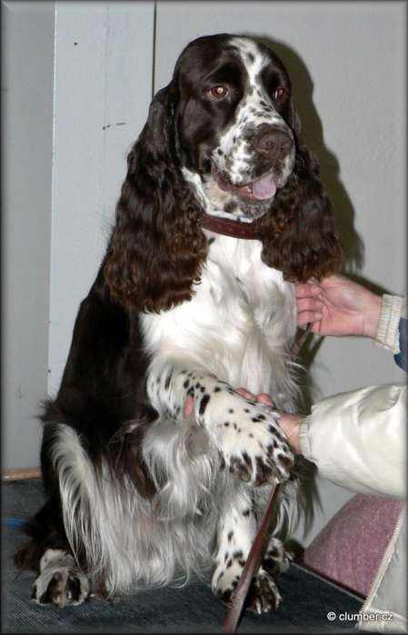 art_trencin2010_1 art_trencin2010_1.jpg, 32 kB