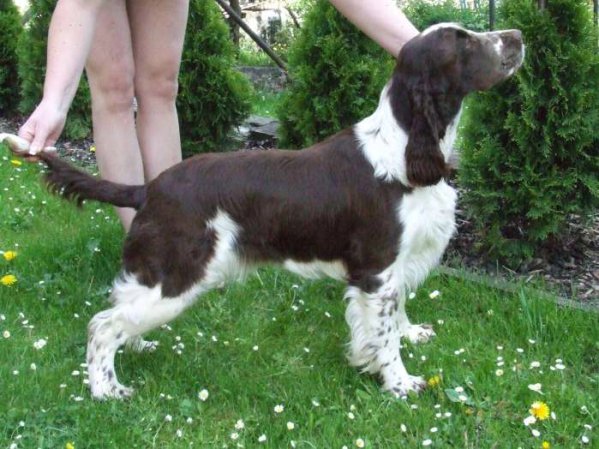 artemis_11mesicu.jpg, 70 kB