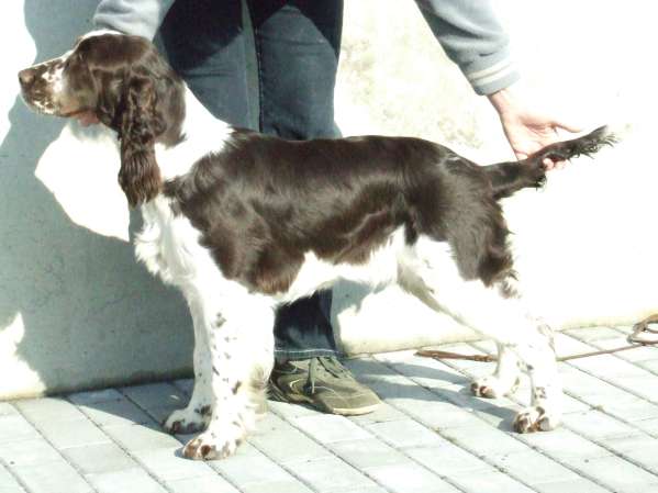 artemis_postoj_8mesicu.jpg, 26 kB