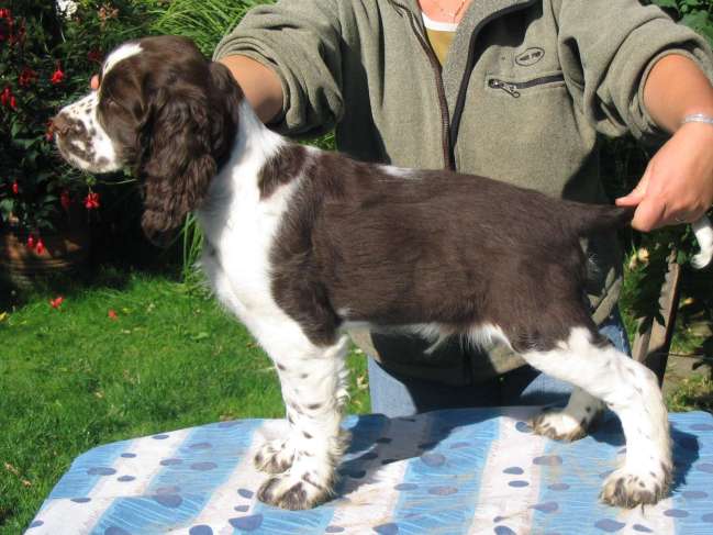 artik_11tydnu.jpg, 44 kB