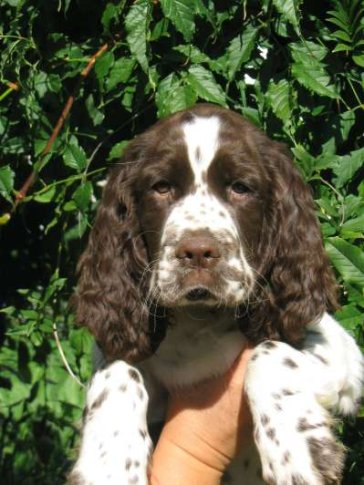 artik_11tydnu_portret.jpg, 45 kB