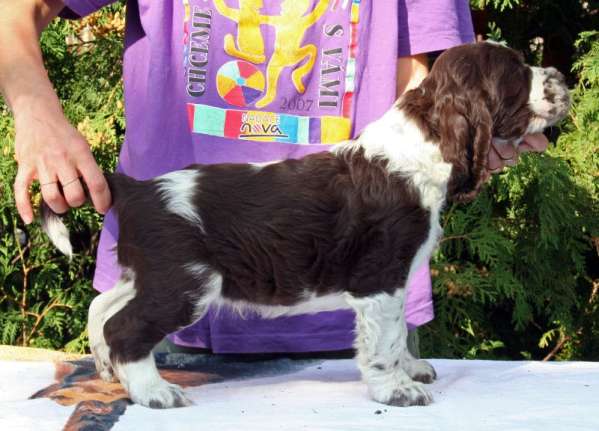 artik_7tydnu artik_7tydnu.jpg, 37 kB