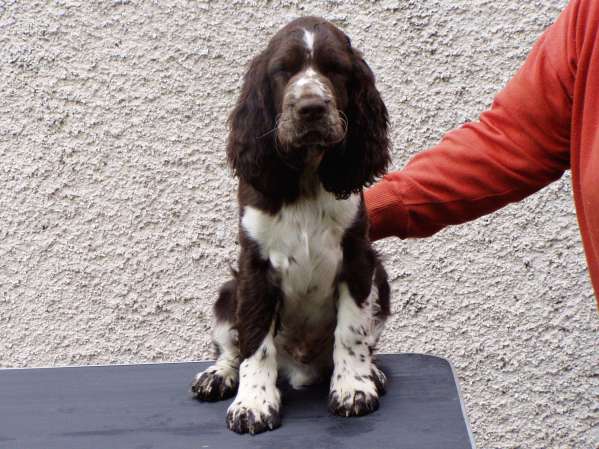 babu_3mesice.jpg, 49 kB