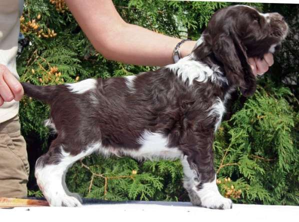 babu_7tydnu.jpg, 42 kB