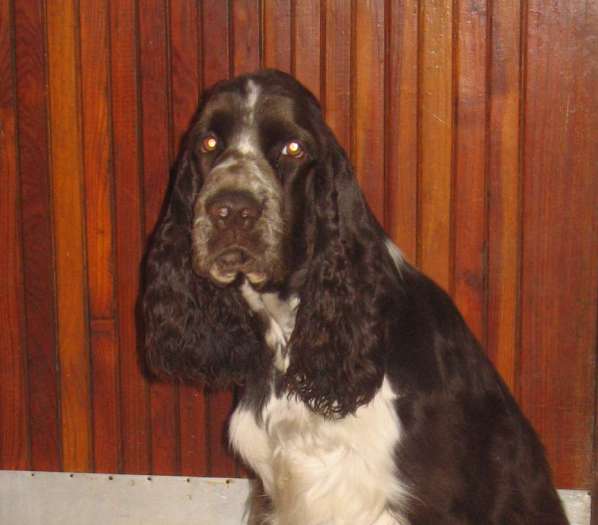 babu_9mesicu_portret.jpg, 26 kB