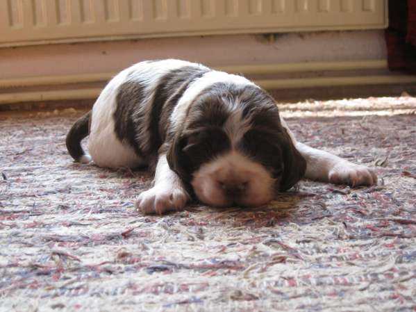 barnaby_16dni barnaby_16dni.jpg, 35 kB