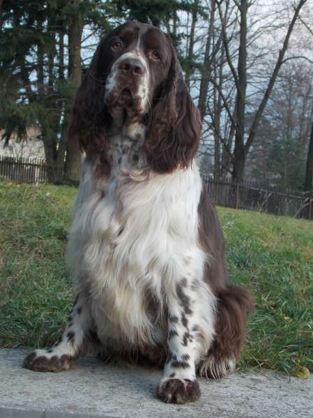 barnaby_2,5roku1 barnaby_2,5roku1.jpg, 38kB