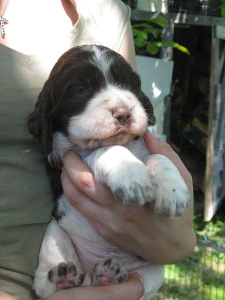 barnaby_24dni barnaby_24dni.jpg, 23 kB