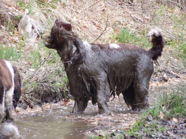 barnaby_2roky_1 barnaby_2roky_1.jpg, 52kB