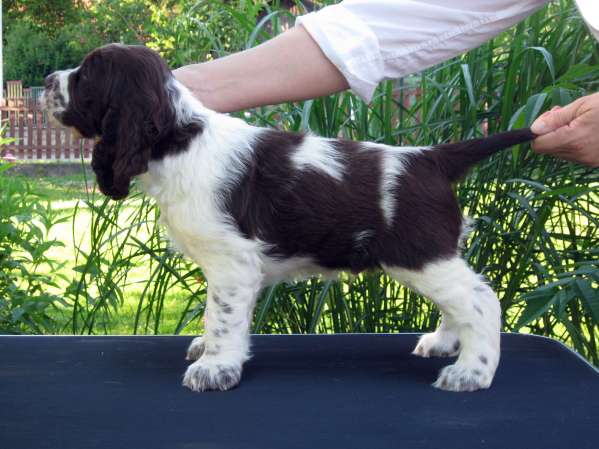 barnaby_7tydnu barnaby_7tydnu.jpg, 39 kB