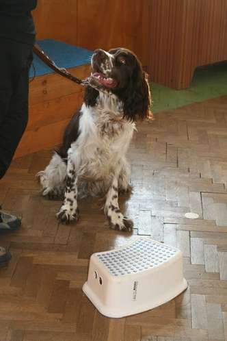 barnaby_8mesicu2 barnaby_8mesicu2.jpg, 16 kB