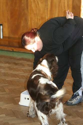 barnaby_8mesicu3 barnaby_8mesicu3.jpg, 18 kB