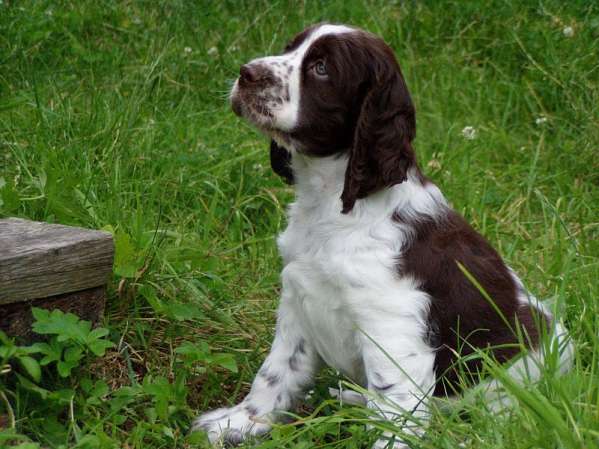 beruska3 beruska3.jpg, 42 kB