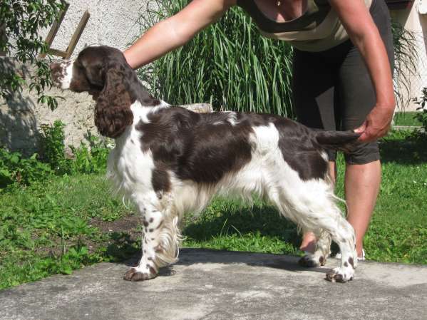 beruska_14mesicu beruska_14mesicu.jpg, 47kB