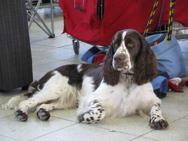 beruska_17mesicu1 beruska_17mesicu1.jpg, 29kB