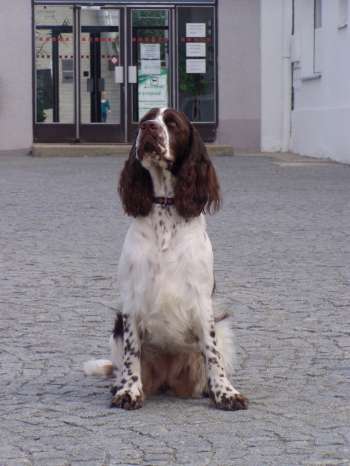 beruska_17mesicu2 beruska_17mesicu2.jpg, 19kB