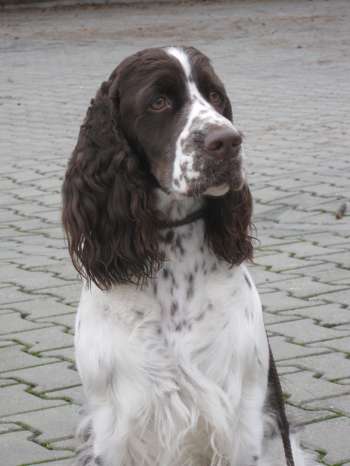 beruska_20mesicu_portret1 beruska_20mesicu_portret1.jpg, 17kB