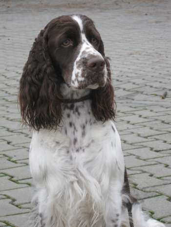 beruska_20mesicu_portret2 beruska_20mesicu_portret2.jpg, 17kB