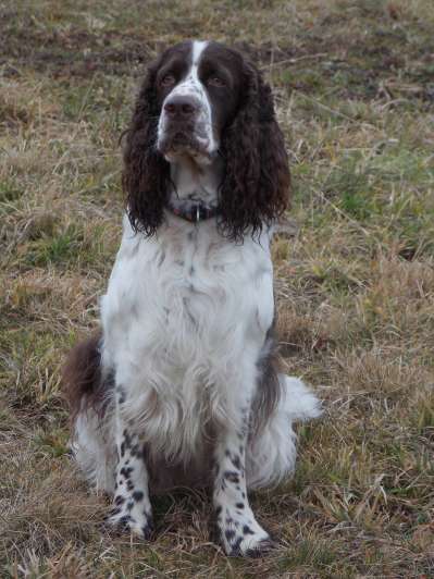 beruska_3,5roku beruska_3,5roku.jpg, 33kB