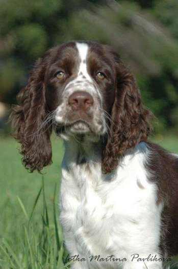 beruska_4mesice_portret2 beruska_4mesice_portret2.jpg, 18 kB