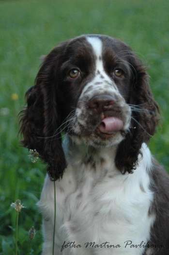 beruska_4mesice_portret3 beruska_4mesice_portret3.jpg, 15 kB