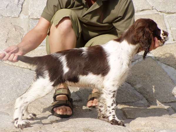 beruska_4mesice_postoj2 beruska_4mesice_postoj2.jpg, 36 kB