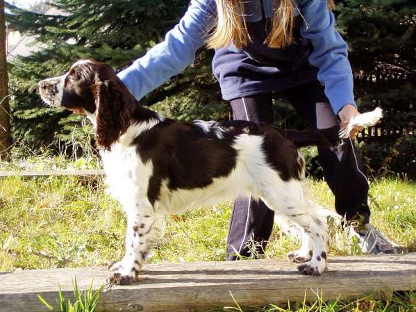 beruska_6mesicu_2 beruska_6mesicu_2.jpg, 53 kB