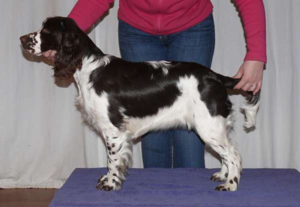 beruska_7mesicu1 beruska_7mesicu1.jpg, 19 kB